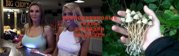 каннабис Алзамай