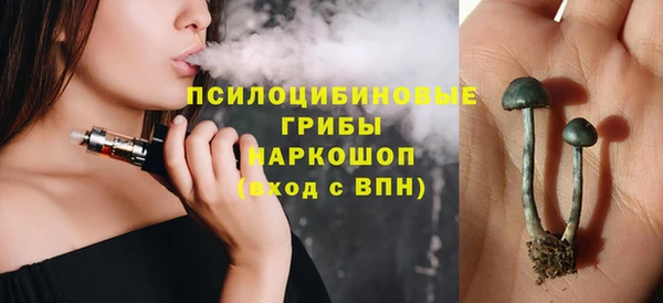 прущий лед Алексин