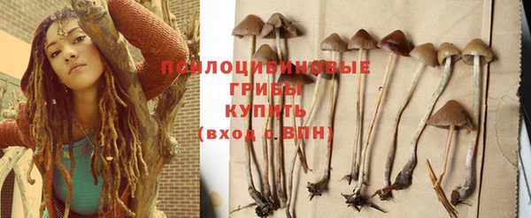 каннабис Алзамай