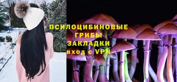 прущий лед Алексин